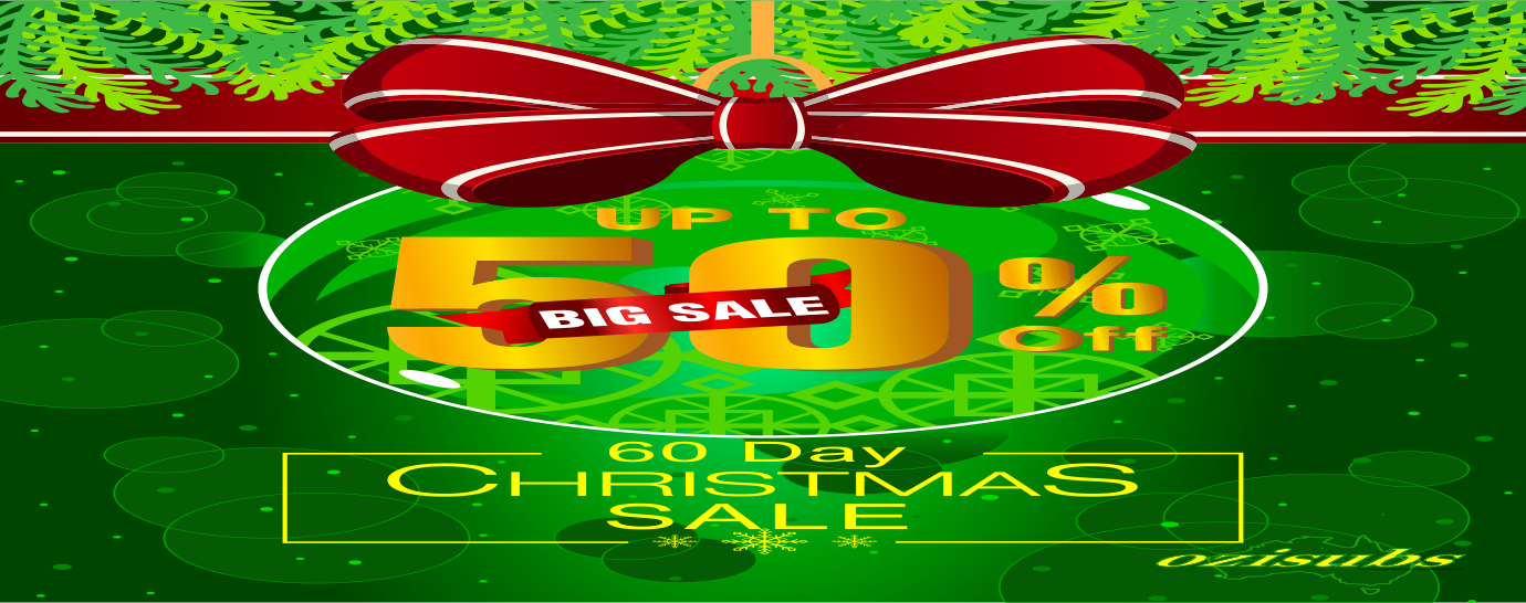 60 Day Christmas Sale